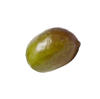 Ramo olive
